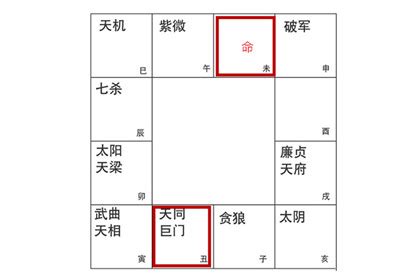 命主巨門男|命主巨门星好不好 命主巨门什么意思